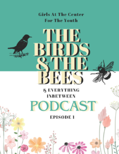 The Birds and The Bees Podcast Episode Flyer